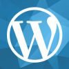 Was kostet eine WordPress Seite?