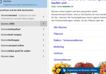 Windows 10: Bing Suche deaktivieren