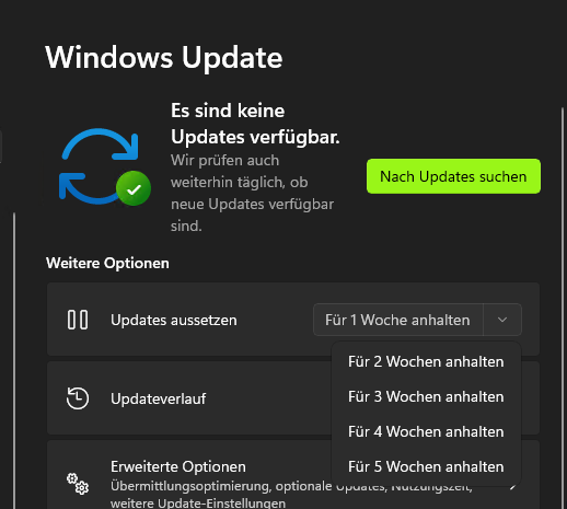 Updates für Windows 11 anhalten