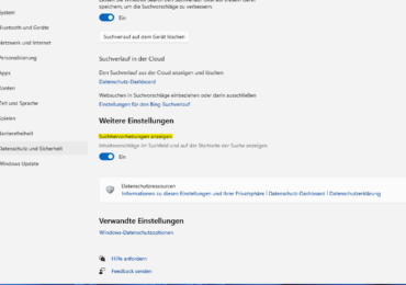 Windows 11 Suchhervorhebungen deaktivieren